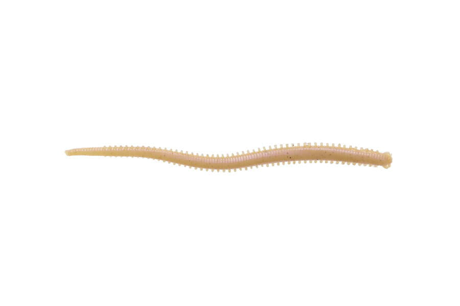 Gulp! Saltwater Isome Futomi 4inch (ガルプ!ソルトウォーター イソメ太身 4インチ)