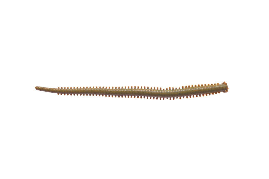 Gulp! Saltwater Isome Futomi 4inch (ガルプ!ソルトウォーター イソメ太身 4インチ)