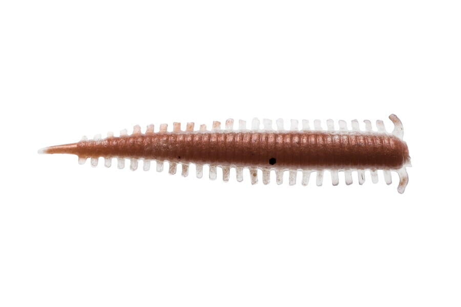 Gulp!Saltwater Sandworm 2inch（ガルプ！ソルトウォーター サンドワーム 2インチ）