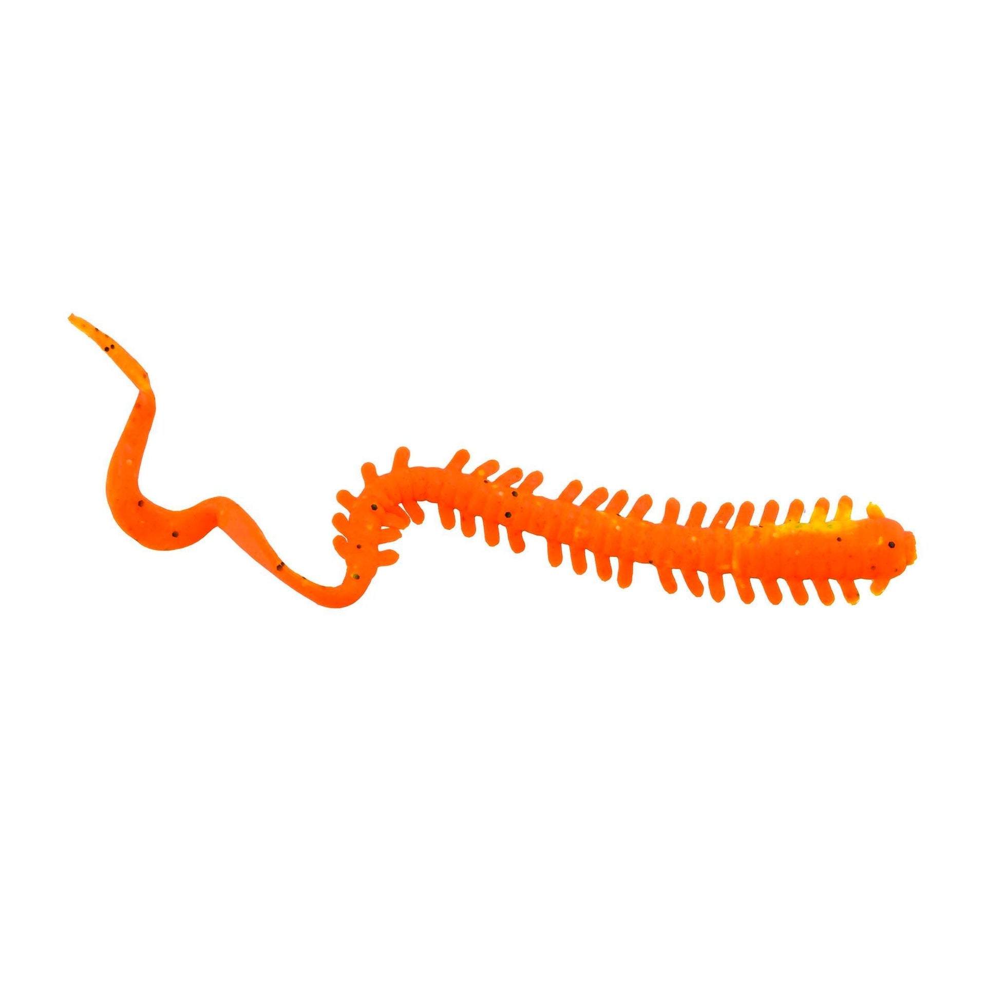 Gulp! ISOME Curly 4inch（ガルプ！ソルトウォーター イソメカーリー4インチ）