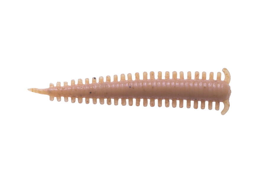 Gulp!Saltwater Sandworm 2inch（ガルプ！ソルトウォーター サンドワーム 2インチ）